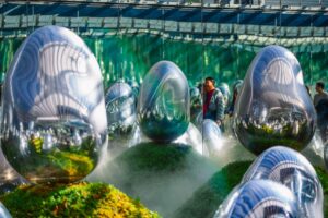 Duurzame kunstinstallaties: ecosysteem als inspiratiebron