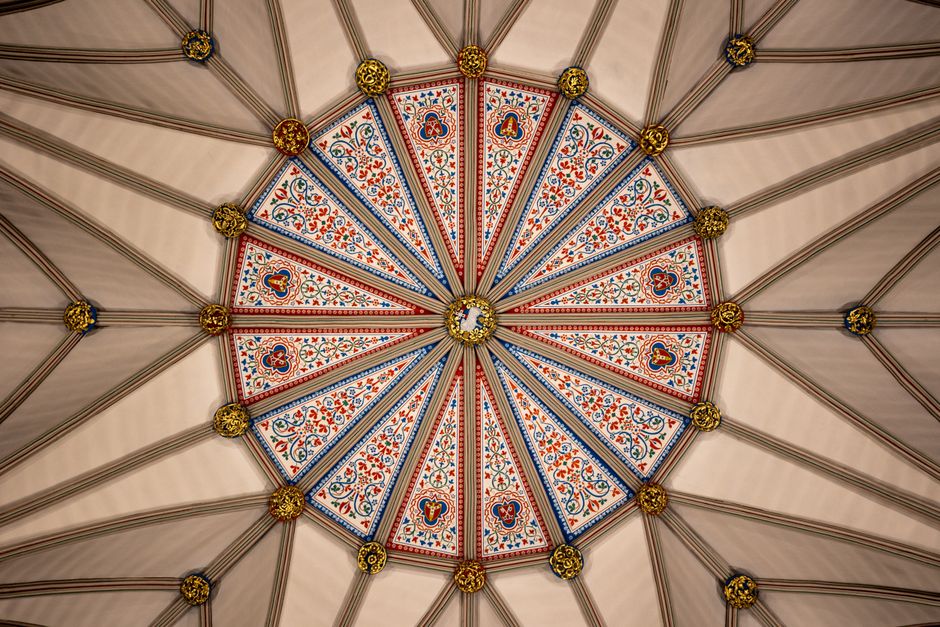 Nieuw plafond met kleurrijke natuurillustraties.