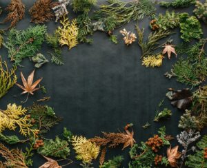 Kleurstromen in interieurs: harmonie creëren voor de herfst